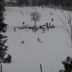 Am Skihang Og By Interhome Carlsfeld
