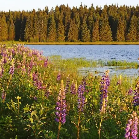 Am Skihang Og By Interhome