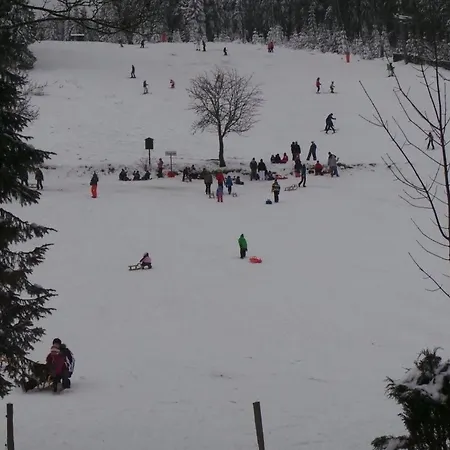 Am Skihang Og By Interhome كارلسفيلد