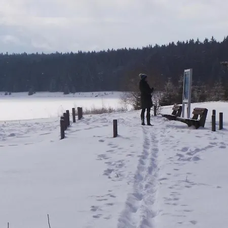 Апартаменты Am Skihang Og By Interhome Карлсфельд