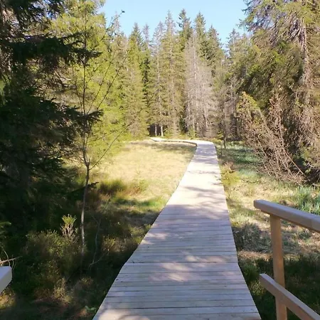 Апартаменты Am Skihang Og By Interhome