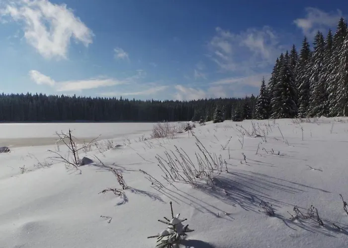 Appartamento Am Skihang Og By Interhome *