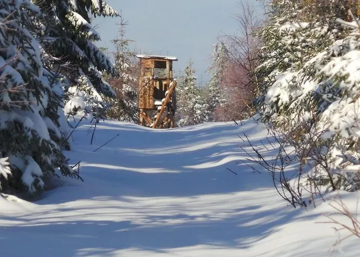 Am Skihang Og By Interhome Carlsfeld