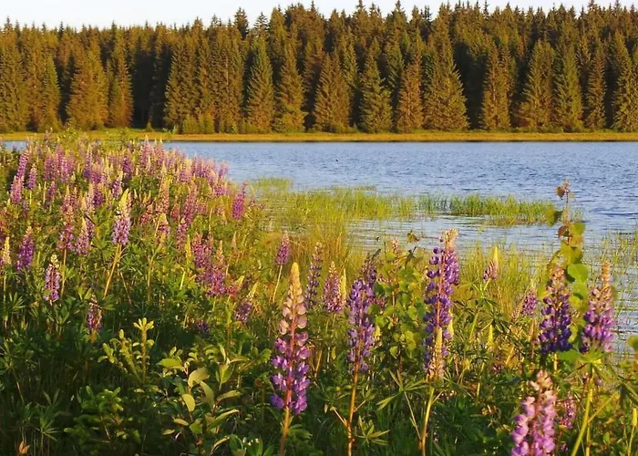 Am Skihang Og By Interhome