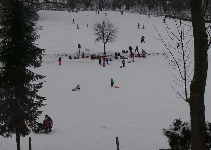 Am Skihang Og By Interhome Carlsfeld