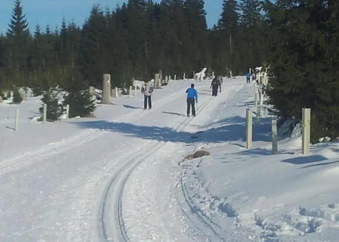 Appartamento Am Skihang Og By Interhome *