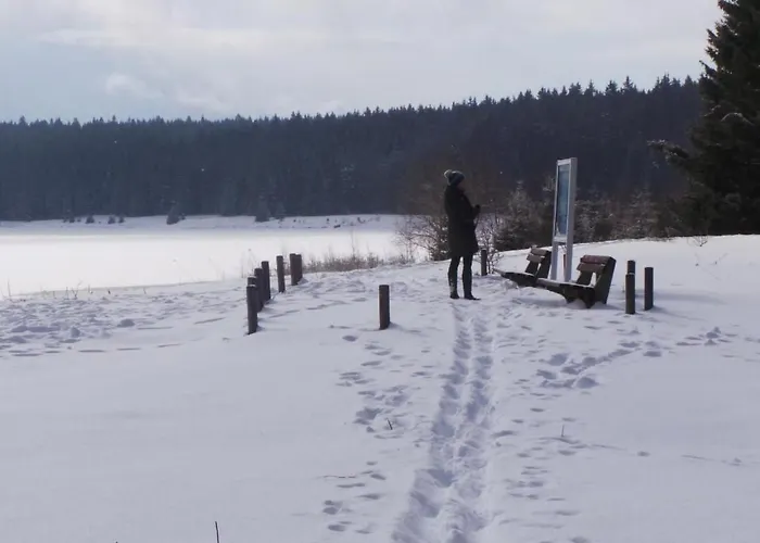 Appartamento Am Skihang Og By Interhome Carlsfeld