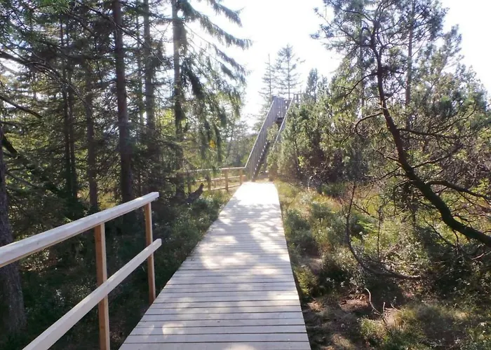 Am Skihang Og By Interhome * Carlsfeld