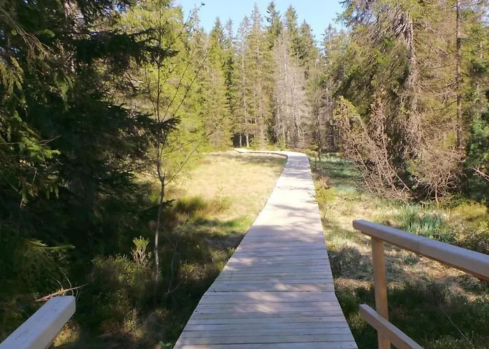 Appartamento Am Skihang Og By Interhome